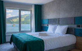 Hotel Plutitor Lebăda